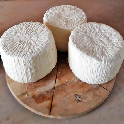 Cacioricotta di capra cilentana