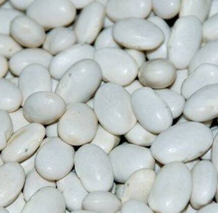 Fagiolo della Regina di Gorga